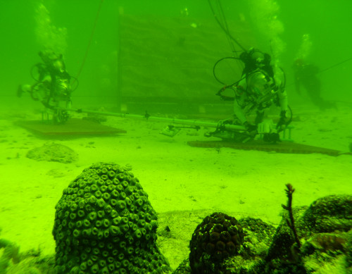 Bild 1 Zwei Ansichten der Erde ohne Wasser an Oberfläche